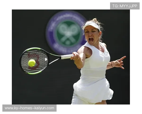 哈勒普回球稳定节奏重现